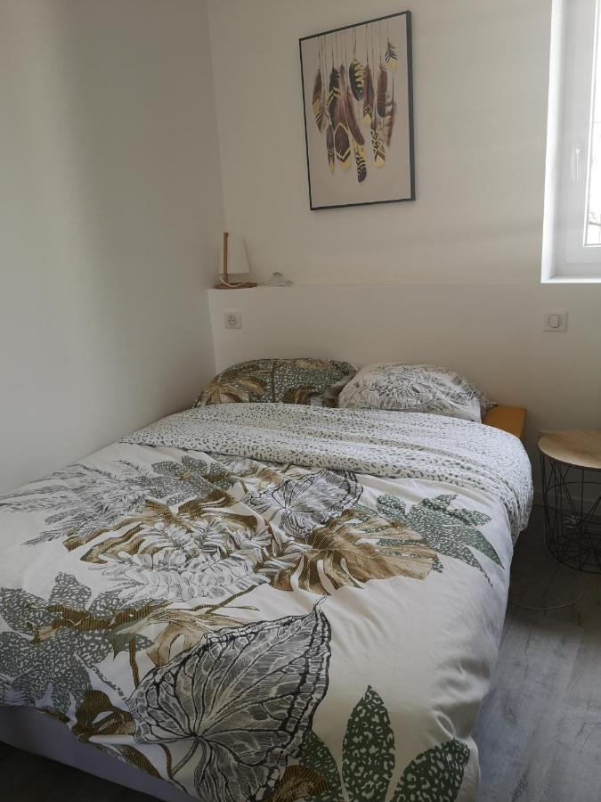 T3 Avec Salle De Bain Privative Par Chambre Agen Eksteriør billede